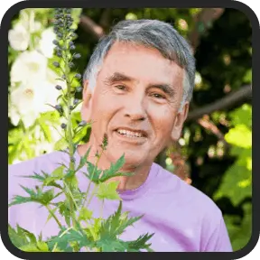 metamorphx reviews 2